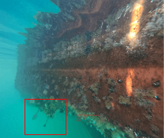 BioSync® AI-Powered Marine Monitoring System capturing real-time underwater imagery of a submerged structure with marine growth. Advanced ROV technology for marine species identification.