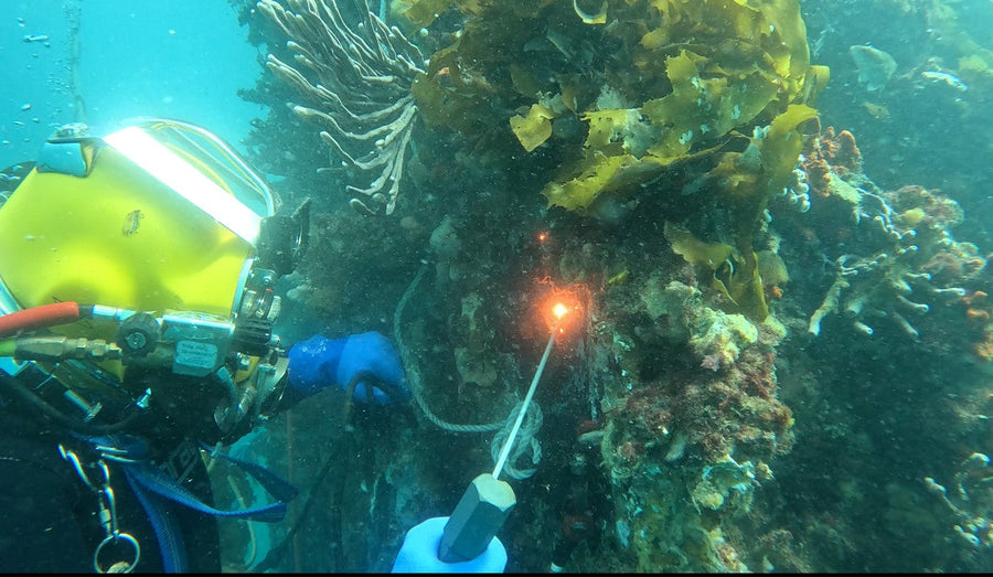 The Role of Commercial Diving in Modern Marine Industries: Ensuring Safety, Efficiency, and Environmental Protection